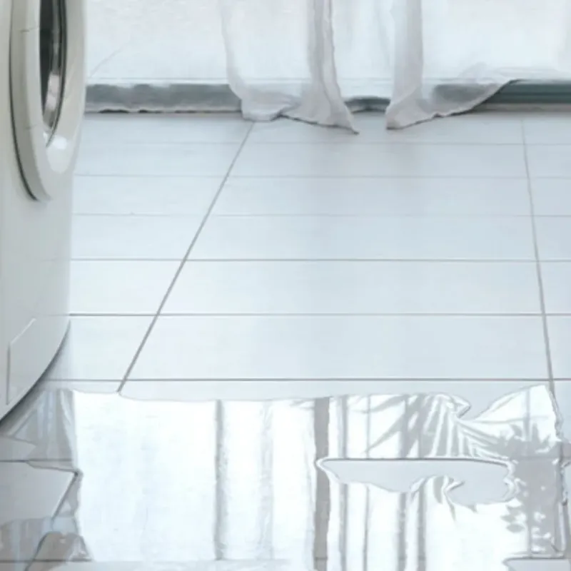 Appliance Leak Cleanup in Primghar, IA