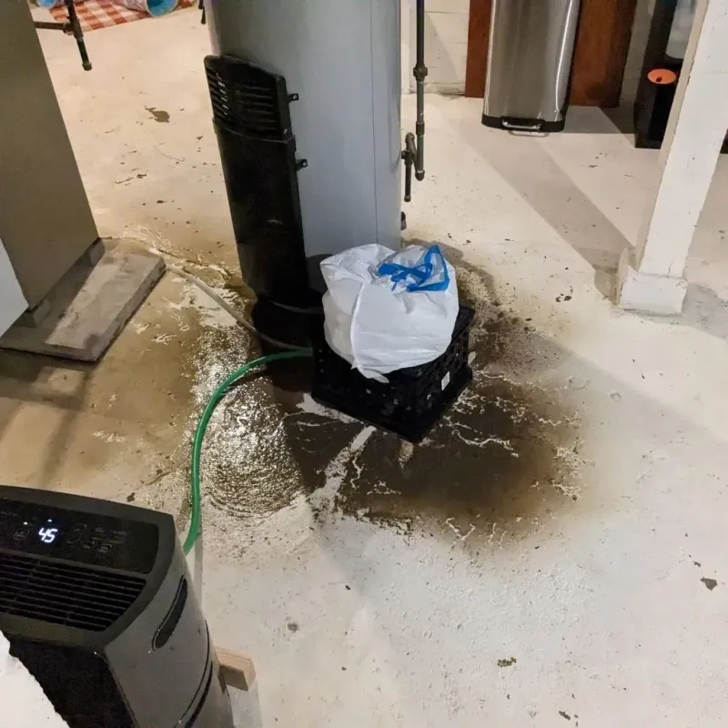 Sewage Backup Cleanup Service in Primghar, IA